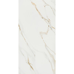 Плитка облицовочная Alma Ceramica Dublin белая 500x249x7,5 мм (12 шт.=1,494 кв.м) - фото 2