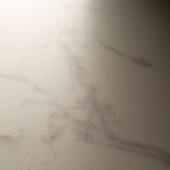 Плитка облицовочная Lavelly Eterno Marmo белая 598x298x8,5 мм (8 шт.=1,425 кв.м) - фото 11