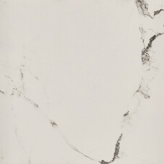 Керамогранит Lavelly Eterno Granito белый 420x420x8 мм (9 шт.=1,587 кв.м) - фото 2