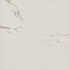 Керамогранит Lavelly Eterno Granito белый 420x420x8 мм (9 шт.=1,587 кв.м) - фото 5