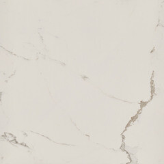 Керамогранит Lavelly Eterno Granito белый 420x420x8 мм (9 шт.=1,587 кв.м) - фото 8