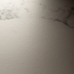 Керамогранит Lavelly Eterno Granito белый 420x420x8 мм (9 шт.=1,587 кв.м) - фото 10