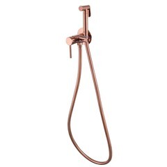 Смеситель с гигиеническим душем встраиваемый Abber Wasser Kreis со скрытой частью в комплекте золото (AF8125RG)