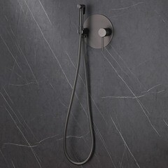 Смеситель с гигиеническим душем встраиваемый Abber Emotion со скрытой частью в комплекте никель (AF8826NG) - фото 3