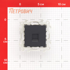 Розетка компьютерная Simon 24 Harmonie встраиваемая графит 2хRJ45 (2410598-038) - фото 2