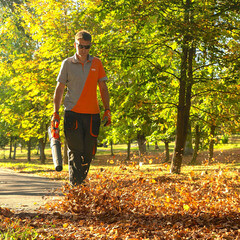Воздуходувка аккумуляторная ручная Daewoo 21 В Li-Ion 1 АКБ и ЗУ (DABL 5521Li SET) - фото 2