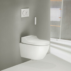 Клавиша смыва для инсталляций Geberit Sigma 20 хром глянцевый (115.882.KJ.1) - фото 3