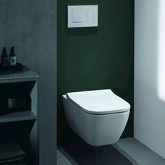 Клавиша смыва для инсталляций Geberit Sigma 30 хром глянцевый (115.883.KH.1) - фото 5