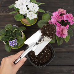 Совок посадочный Garden Show (266286) большой цельнометаллический - фото 5