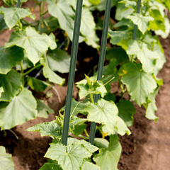 Опора для растений Garden Show металлическая 750 мм (266436) - фото 2