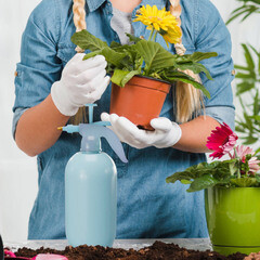 Опрыскиватель помповый Radivas Color 2 л с латунным носиком (G1-01-33) - фото 2