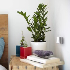 Выключатель Werkel Gallant двухклавишный накладной белый (a051592) - фото 3