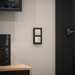 Выключатель Werkel двухклавишный встраиваемый слоновая кость с подсветкой (a051471) - фото 3