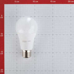 Лампа светодиодная Gauss E27 3000К 12 Вт 1130 Лм 180-240 В груша A60 матовая - фото 4