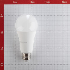Лампа светодиодная Gauss E27 4100К 30 Вт 2360 Лм 180-240 В груша A67/A70 матовая - фото 5