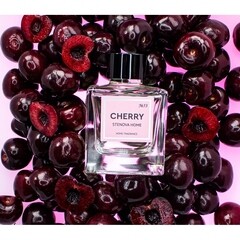 Аромадиффузор с палочками Stenova Home №53 Cherry 100 мл - фото 5