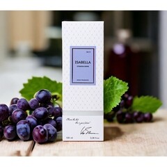 Аромадиффузор с палочками Stenova Home №51 Isabella 100 мл - фото 3