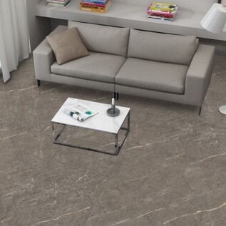 Marble Aster (Lavelly)