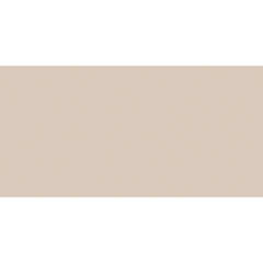 Керамогранит Staro Elite бежевый матовый 1200х600х5 мм (4 шт.=2,88 кв.м) - фото 1