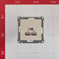 Розетка USB Systeme Electric AtlasDesign встраиваемая бежевая 2хUSB-А (ATN000233) - фото 5