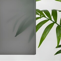 Душевая дверь RGW CL-13B стекло тонированное 150х195 см профиль черный 6 мм раздвижная (06091315-34) - фото 9