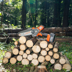 Пила цепная аккумуляторная Daewoo 21 В 8" шаг 1/4" паз 1,1 мм 48 звеньев Li-Ion 5Ач 1 АКБ и ЗУ (DACS 821Li SET) - фото 4