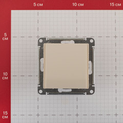 Вывод кабеля Systeme Electric AtlasDesign встраиваемый бежевый (ATN000299) - фото 5