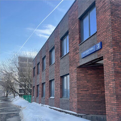 Искусственный камень Atlas Stone Клинкер узкий серый (65 шт.=1,18 кв.м) - фото 5