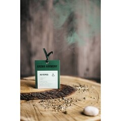 Саше ароматическое Aroma Harmony Черный перец 10 г - фото 3