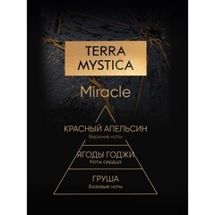 Свеча ароматическая Breesal Terra Mystica Miracle 200 г - фото 2