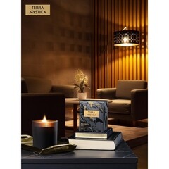 Свеча ароматическая Breesal Terra Mystica Alchemy 200 г - фото 5