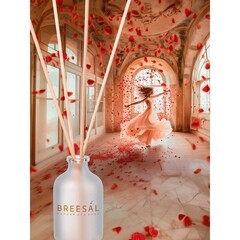 Аромадиффузор с палочками Breesal Aromа Sphere Ласковые объятия 40 мл - фото 4