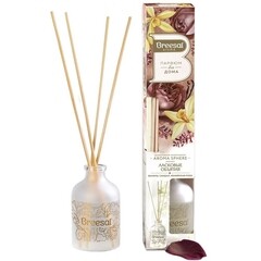 Аромадиффузор с палочками Breesal Aromа Sphere Ласковые объятия 40 мл - фото 1