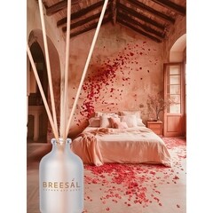 Аромадиффузор с палочками Breesal Aromа Sphere Ласковые объятия 40 мл - фото 2
