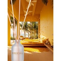 Аромадиффузор с палочками Breesal Aromа Sphere Тропический коктейль 40 мл - фото 5