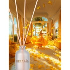 Аромадиффузор с палочками Breesal Aromа Sphere Тропический коктейль 40 мл - фото 3