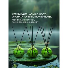 Аромадиффузор с палочками Breesal Aromatherapy Внутренняя гармония 70 мл - фото 5