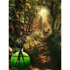 Аромадиффузор с палочками Breesal Aromatherapy Внутренняя гармония 70 мл - фото 4