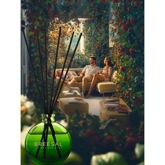 Аромадиффузор с палочками Breesal Aromatherapy Внутренняя гармония 70 мл - фото 3