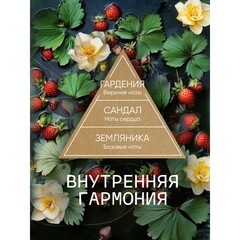 Аромадиффузор с палочками Breesal Aromatherapy Внутренняя гармония 70 мл - фото 2