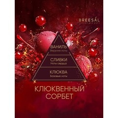 Аромадиффузор с палочками Breesal Passion Клюквенный сорбет 70 мл - фото 2