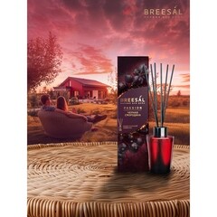 Аромадиффузор с палочками Breesal Passion Черная смородина 70 мл - фото 3
