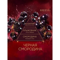 Аромадиффузор с палочками Breesal Passion Черная смородина 70 мл - фото 2
