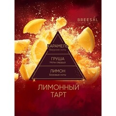 Аромадиффузор с палочками Breesal Passion Лимонный тарт 70 мл - фото 3