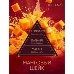 Аромадиффузор с палочками Breesal Passion Манговый шейк 70 мл - фото 2