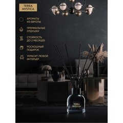 Аромадиффузор с палочками Breesal Terra Mystica Secret fire 100 мл - фото 8