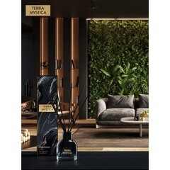 Аромадиффузор с палочками Breesal Terra Mystica Secret fire 100 мл - фото 7