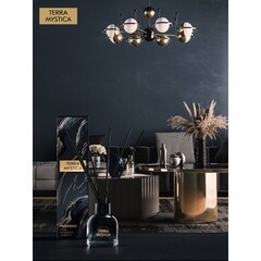 Аромадиффузор с палочками Breesal Terra Mystica Secret fire 100 мл - фото 6