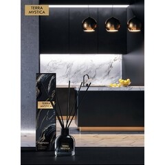 Аромадиффузор с палочками Breesal Terra Mystica Secret fire 100 мл - фото 5