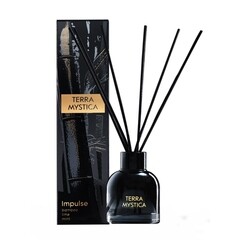 Изображение товара Аромадиффузор с палочками Breesal Terra Mystica Impulse 100 мл